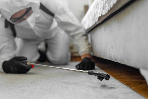 Professional Cockroach Control technician working in Lewiston, MN