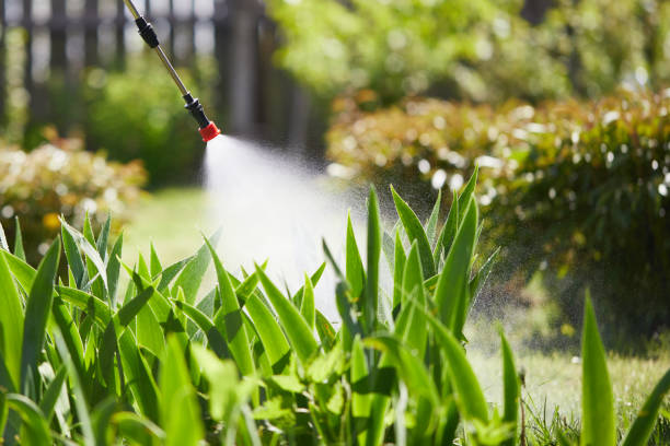 24/7 Emergency Cockroach Control experts in Lewiston, MN