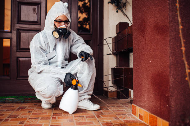 Reliable Cockroach Control contractor in Lewiston, MN by Nex Pest Control