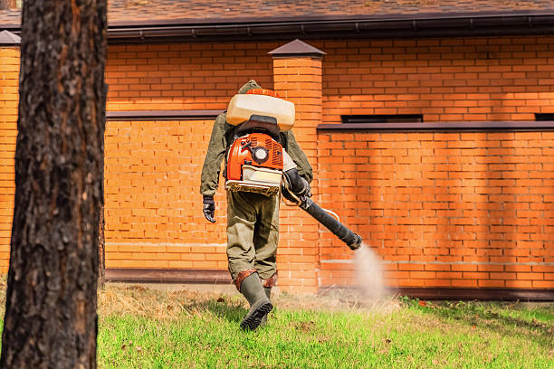 Trusted Cockroach Control service in Lewiston, MN - Nex Pest Control